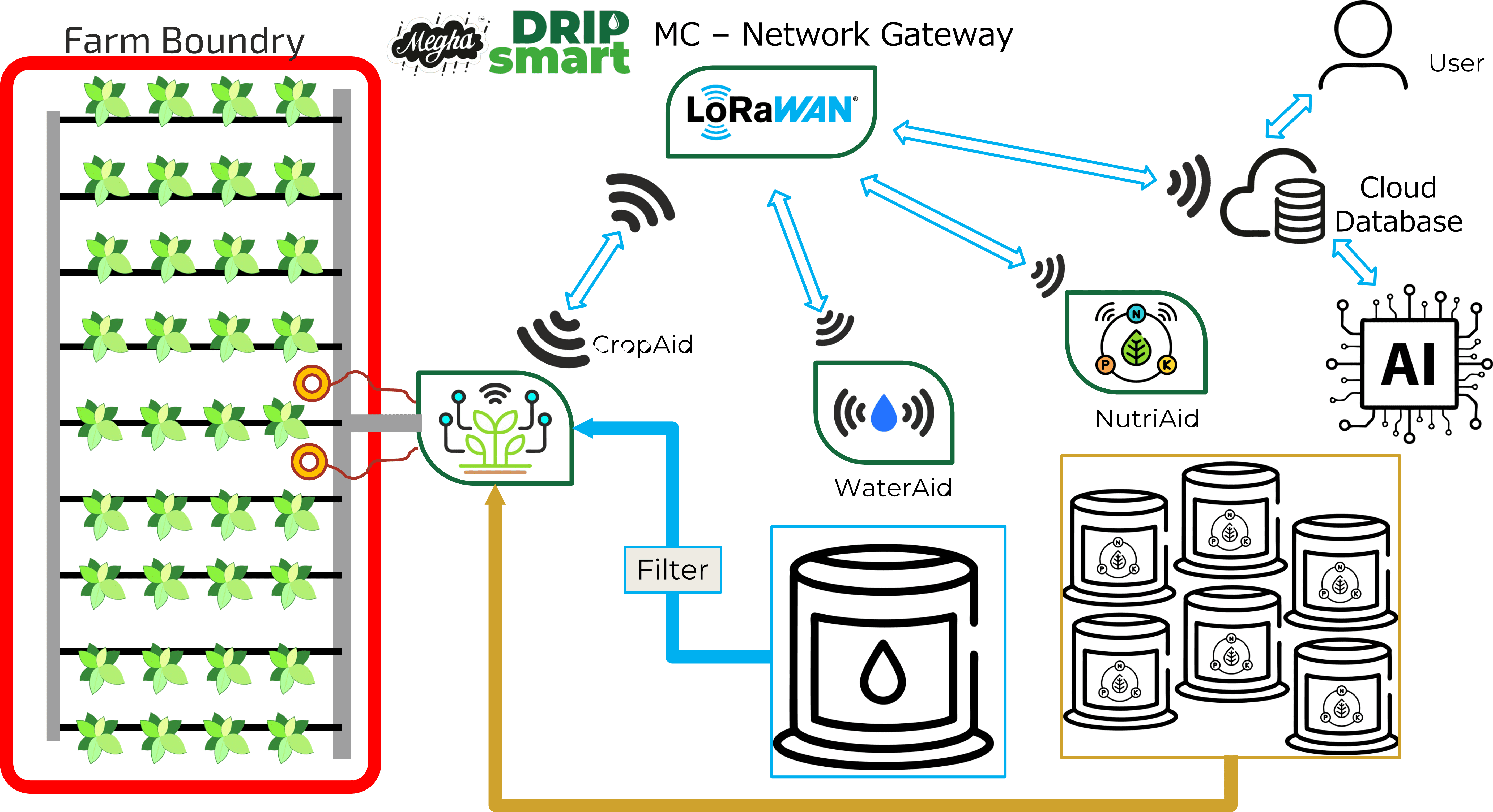 drip irrigation layout